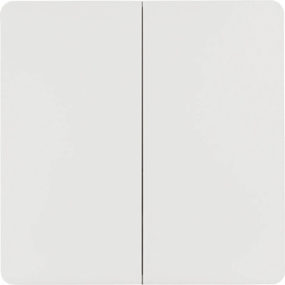 Выключатель Arlight Intelligent TUYA-228-2-RF-SUF / 031685 - 