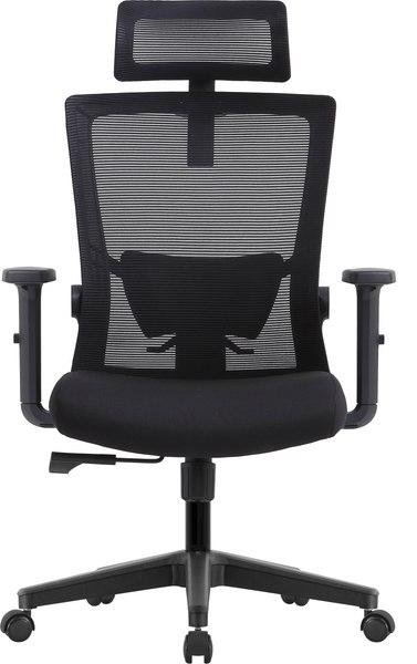 Купить Кресло офисное Evolution ErgoLine 1 в Жодино