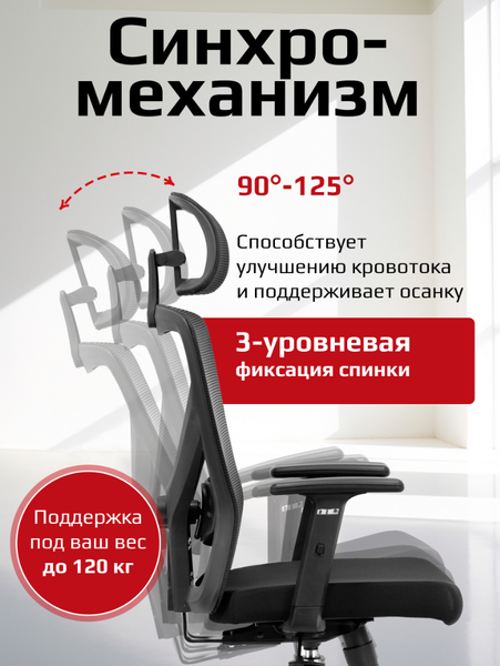 Купить Кресло офисное Evolution ErgoLine 2 в Витебске