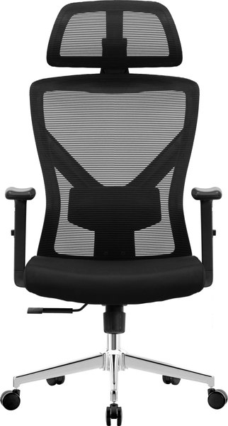 Купить Кресло офисное Evolution ErgoLine 2 в Витебске