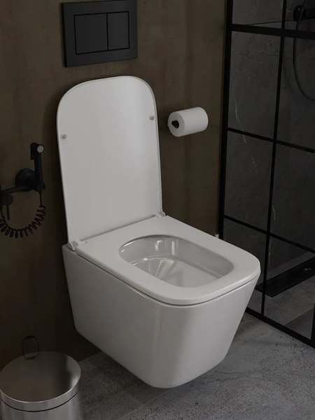 Купить Унитаз подвесной Teymi Helmi Pro Vortex / T40310 в Борисове