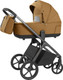 Детская универсальная коляска Carrello Vector 2 в 1 CRL-6551 (Golden Beige) - 