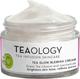 Крем для лица Teaology Tea Glow Blemish Cream (50мл) - 
