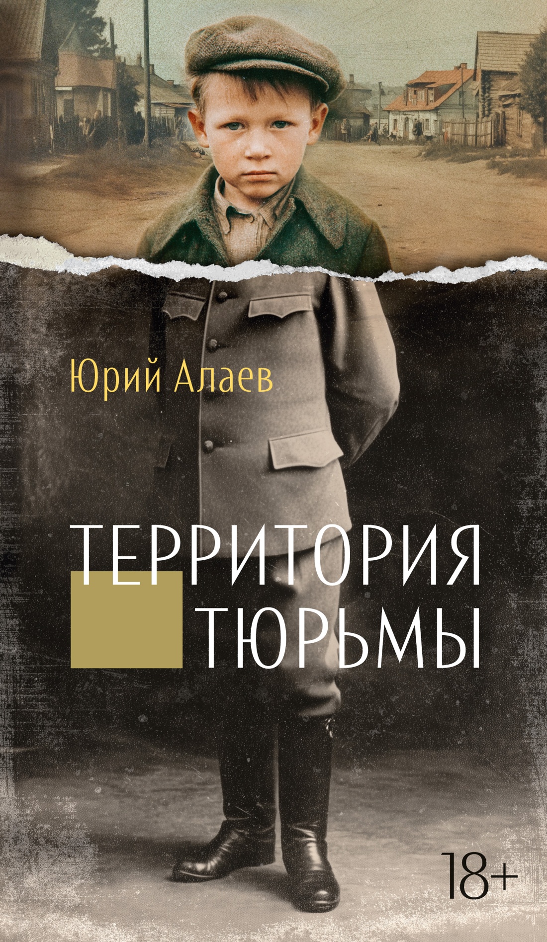 Художественная книга Азбука Территория тюрьмы, мягкая обложка (Алаев Юрий)