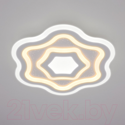 

Потолочный светильник Евросвет, Siluet 90151/5