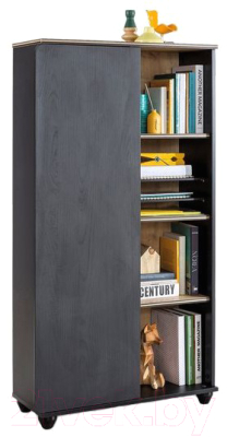 

Стеллаж Cilek, Black 20.58.1503.00 с дверцей