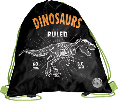 Мешок для обуви Paso BR-712-4 - 