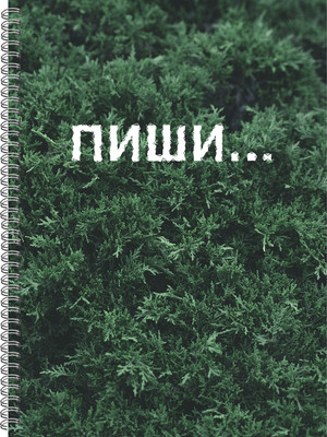 Тетрадь Listoff Пиши / ТС41205236 (120л) - 