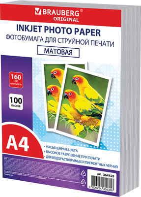 Фотобумага Brauberg А4 160г/м2 / 364428 (100л, матовый) -