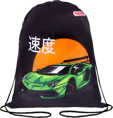 Мешок для обуви Пифагор Dive Into Drive / 272388 - 