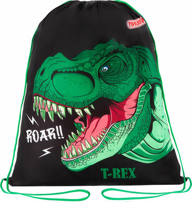 Мешок для обуви Пифагор Dino Roar / 272387 - 