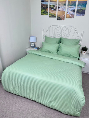 Комплект постельного белья Реноме 2сп Графитовая коллекция Олива Ss-005 (страйп-сатин) -