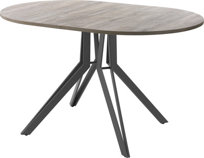 Обеденный стол AMC Elite / Е21(1100) D3 (графит/дуб уайт-ривер песочно-бежевый) -