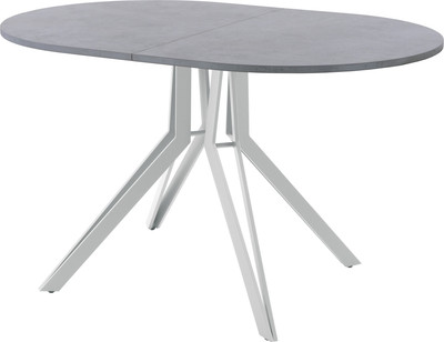 Обеденный стол AMC Elite / Е21(1100) D3 (серебро/бетон чикаго светло-серый) -