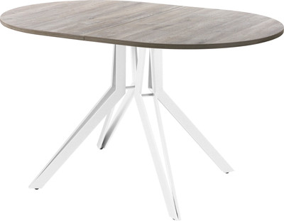 Обеденный стол AMC Elite / Е21(1100) D3 (белый/дуб уайт-ривер песочно-бежевый) -