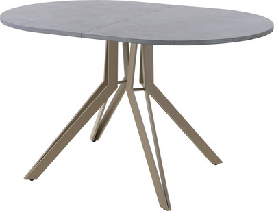 Обеденный стол AMC Elite / Е21(1100) D3 (капучино/бетон чикаго светло-серый) -