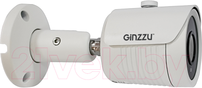 Аналоговая камера Ginzzu HAB-5031A