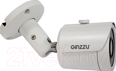 IP-камера Ginzzu HIB-2032S