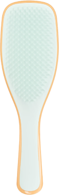 Расческа-массажер Tangle Teezer The Ultimate Detangler Ice Blue & Sweet Orange -