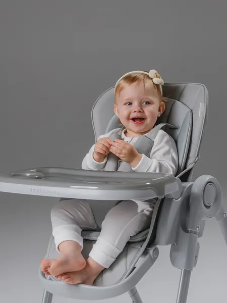 Купить Стульчик для кормления Amarobaby Gourmet / AB25-23GOU/11 в Бобруйске