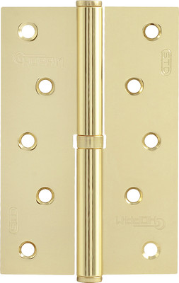 Петля дверная Нора-М 750-5-FHP-STD 120x80x2.5 (левая, золотистый) - 