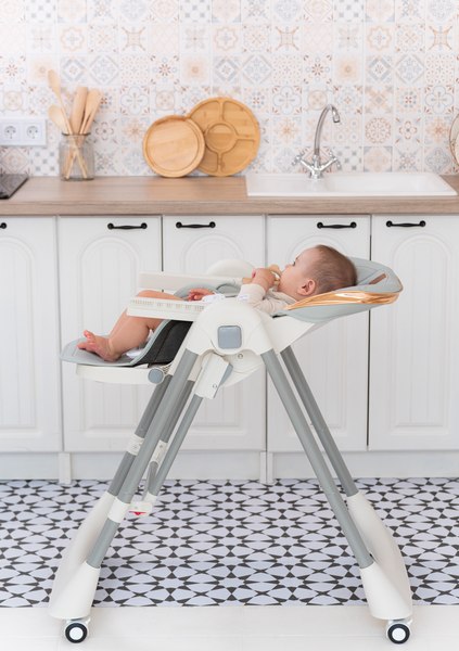 Купить Стульчик для кормления VipBaby Relax 3в1 0+ в Жодино