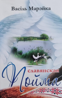 

Книга, Славянская пойма. 2013, твердая обложка
