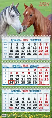 

Календарь настенный, Год Лошади. Вид 3