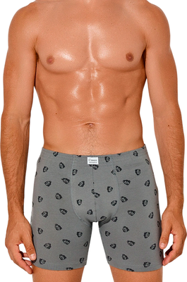 Трусы мужские Mark Formelle 411155 (р.86-96, зубры на темно-сером/декор) -