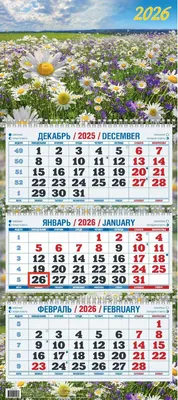 

Календарь настенный, Солнечная поляна