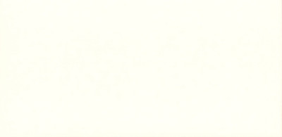 Плитка Beryoza Ceramica Verona белый (245х120) - 