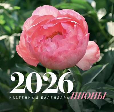 Календарь настенный АСТ Пионы. 2026 год (Аристархова Любовь 9785171658861) -