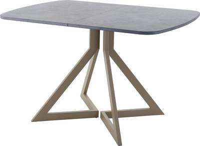Обеденный стол AMC Elite Е20(1200) D2 (капучино/бетон чикаго светло-серый) - 