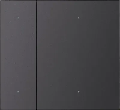 

Лицевая панель, Intelligent KNX-23-2G-SUF Dark Grey / 051098