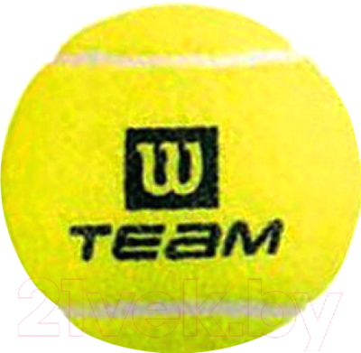 Набор теннисных мячей Wilson TeamW Practice / WRT111900 (4шт)