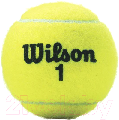 Набор теннисных мячей Wilson Championship / WRT100101 (3шт)