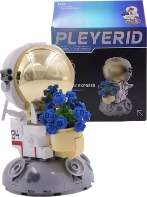 

Конструктор, Астронавт спец. техника. Романтический экспресс