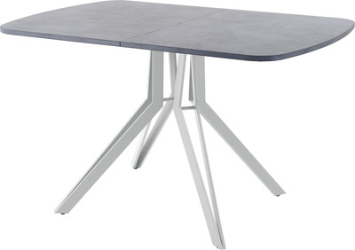 Обеденный стол AMC Elite Е21(1200) D2 (серебро/бетон чикаго светло-серый) - 