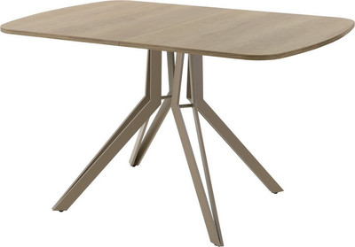 Обеденный стол AMC Elite Е21(1200) D2 (капучино/дуб небраска натур) - 