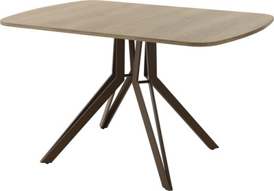 Обеденный стол AMC Elite Е21(1100) D2 (коричневый/дуб небраска натур) - 