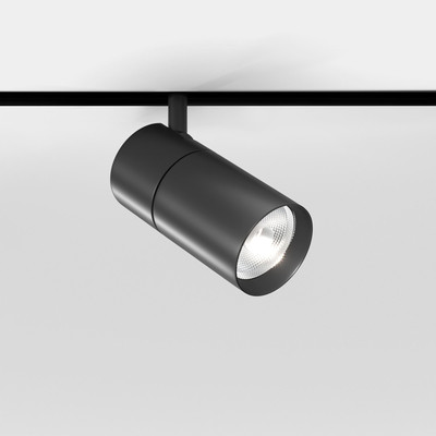 Трековый светильник Elektrostandard Slim Magnetic 85012/01 4200 (черный) - 