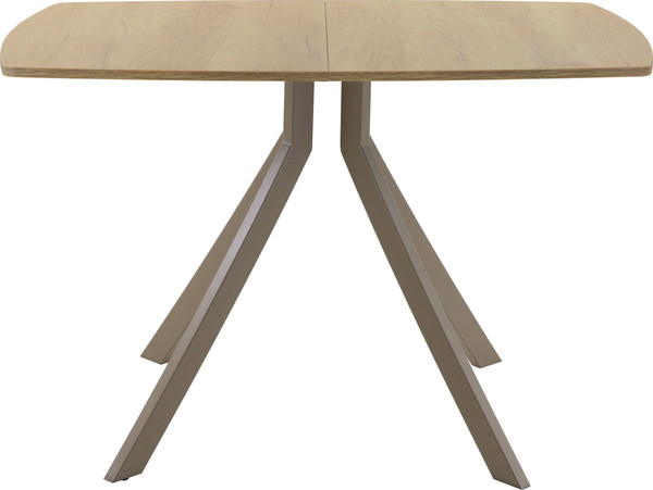 Купить Обеденный стол AMC Elite / Е18(1100) D6 в Витебске