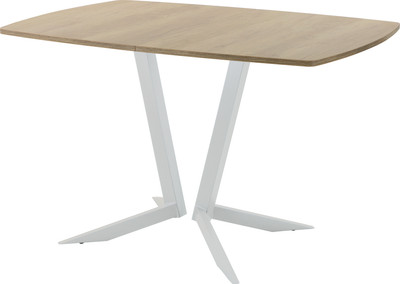 Обеденный стол AMC Elite / Е19(1200) D6 (серебро/дуб небраска натур) - 