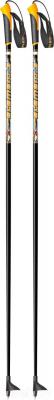 Палки для беговых лыж Arctix Element 160 / 349-12160 - общий вид