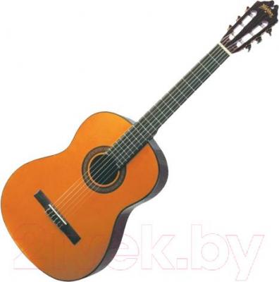 Акустическая гитара Washburn C5 - общий вид
