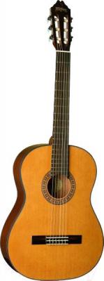 Акустическая гитара Washburn C40 - общий вид