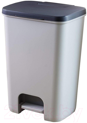 Контейнер для мусора Curver Essentials 00760-686-00 / 225359 (40л)