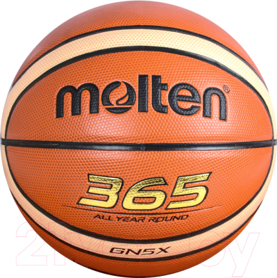 Баскетбольный мяч Molten BGN5X