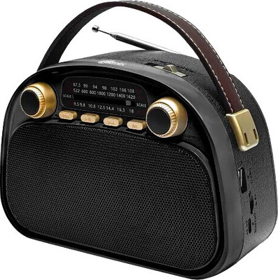 Радиоприемник Ritmix RPR-040 (черный) - 