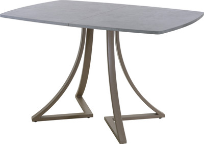 Обеденный стол AMC Elite / Е24(1200) D6 (капучино/бетон чикаго светло-серый) - 